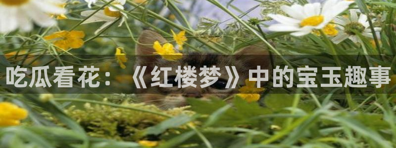 51吃瓜网小鹿酱