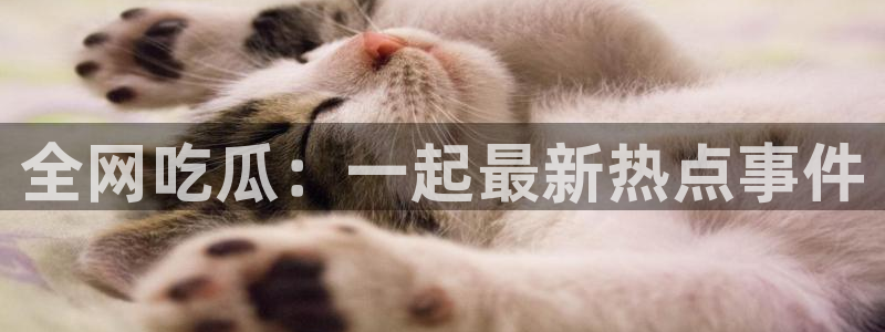 51吃瓜网 张津瑜
