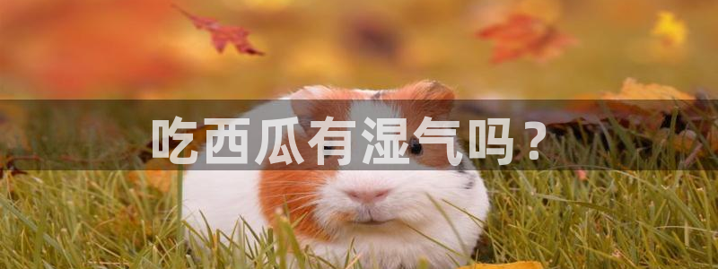 cggolive吃瓜网