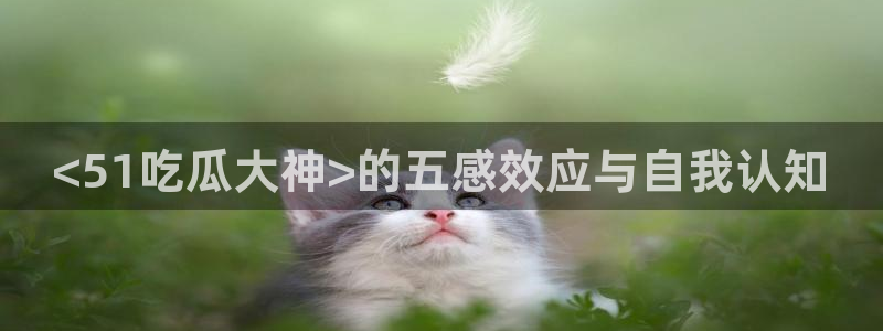 吃瓜不打烊–吃瓜,不打烊：<51吃瓜大神>的五感效应与自我认知