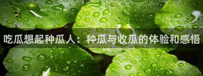 51吃瓜安卓下载：吃瓜想起种瓜人：种瓜与收瓜的体验和感悟