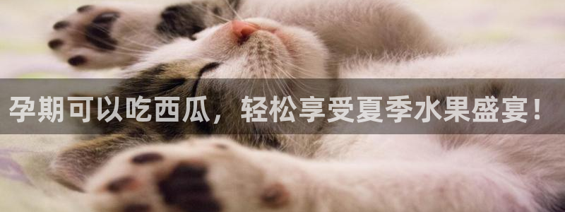 91今日吃瓜热门大瓜：孕期可以吃西瓜，轻松享受夏季水果盛宴！