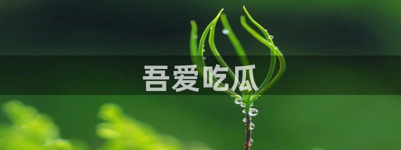 51吃瓜全网最快更新今日热门吃瓜：吾爱吃瓜