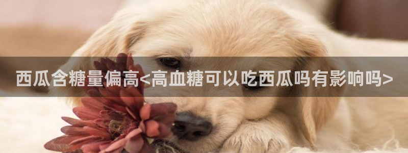 51吃瓜在线今日吃瓜：西瓜含糖量偏高<高血糖可以吃西瓜吗有影响吗>