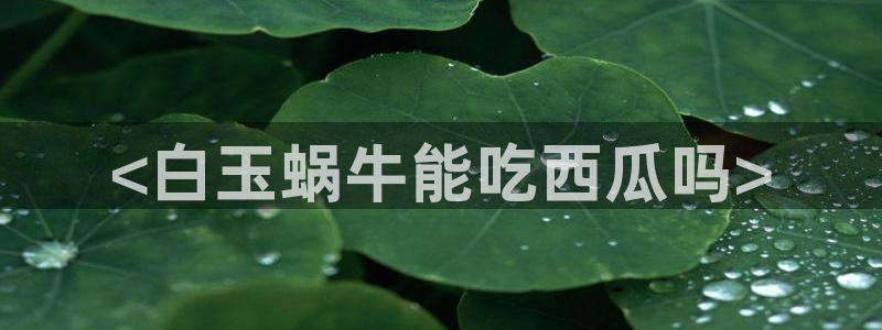 www.黑料:<白玉蜗牛能吃西瓜吗>