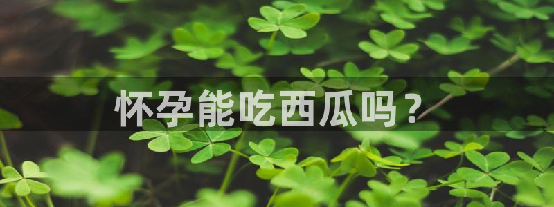 各种网红爆料吃瓜网站