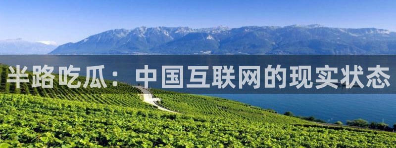 吃瓜.:半路吃瓜:中国互联网的现实状态