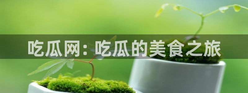 黑料免费：吃瓜网: 吃瓜的美食之旅