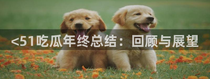 51吃瓜nanataipei：<51吃瓜年终总结：回顾与展望