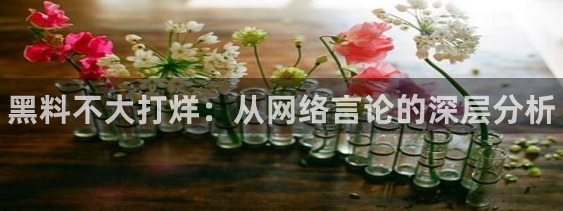 51吃瓜安卓下载：黑料不大打烊：从网络言论的深层分析