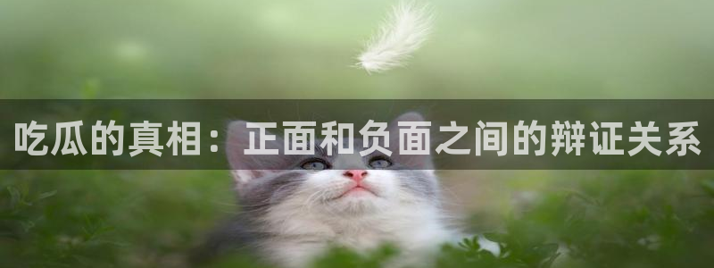 51吃瓜网张津瑜