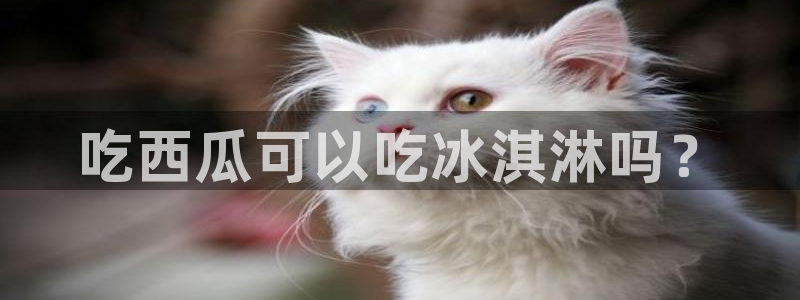 51cg吃瓜今日吃瓜热门大瓜