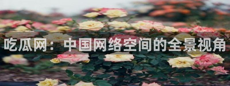 51吃瓜网今日必吃大瓜