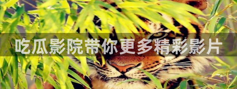 吃瓜下载