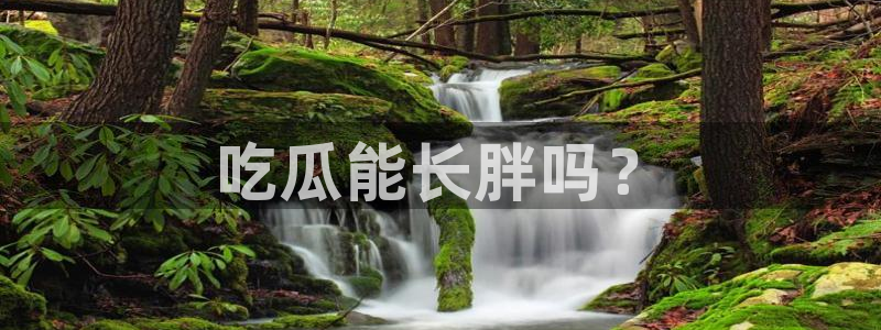 ccggme吃瓜网：吃瓜能长胖吗？