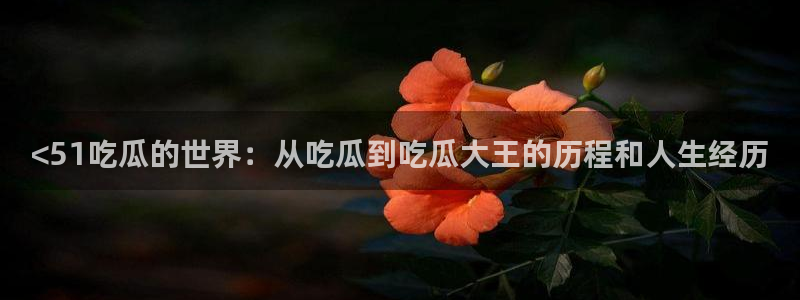 51今日吃瓜热门大瓜入口