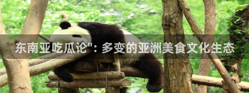 吃了坏瓜怎么办:东南亚吃瓜论\