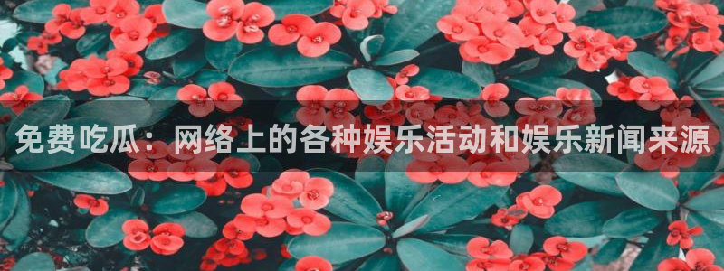 黑料专区：免费吃瓜：网络上的各种娱乐活动和娱乐新闻来源